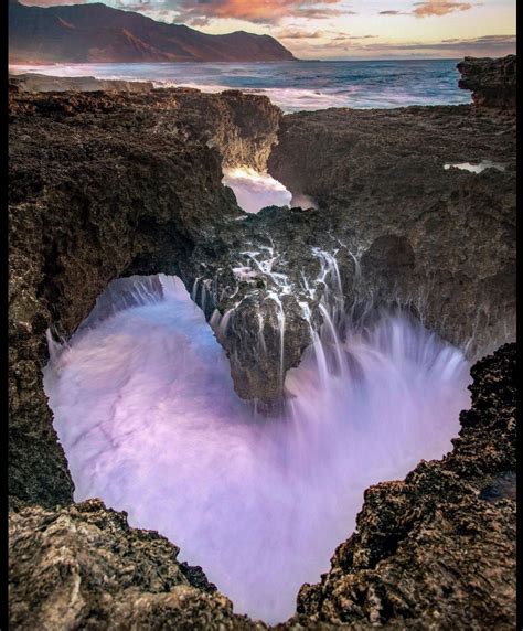 Žena s lesklými a zdravými vlasmi po použití jojobového oleja.