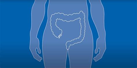 ilustrácia znázorňujúca oblasť konečníka a jeho okolie