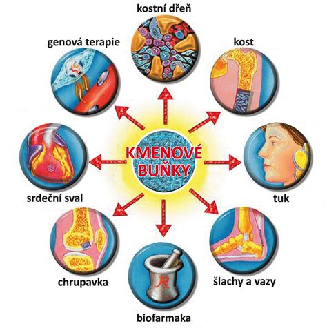 Štruktúra molekuly retinolu a schéma jej pôsobenia na bunkovej úrovni.