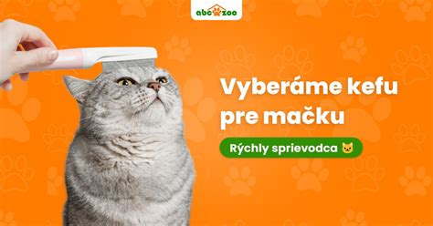 Ilustrácia zdravej mačacej srsti a kože