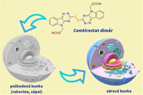 Schéma mechanizmu účinku antibiotika na bakteriálnu bunku
