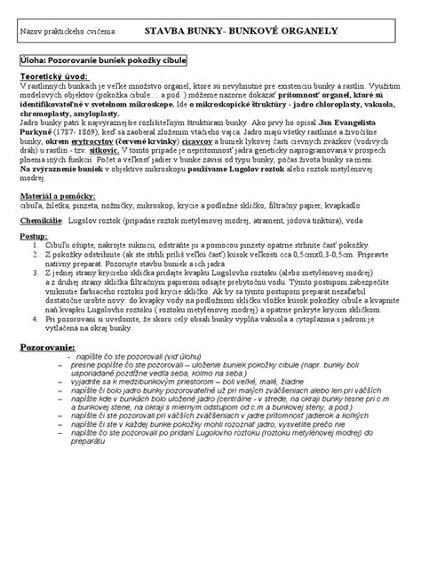 Schéma znázorňujúca tvorbu mikrokanálikov v pokožke pomocou frakčného CO2 lasera