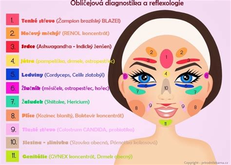 mapa tváre s vyznačením oblastí a možných príčin akné