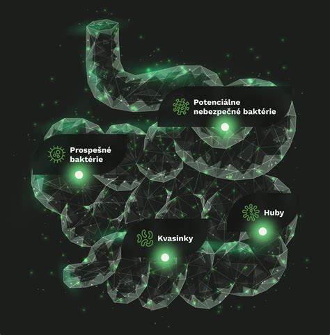 Ilustrácia mikrobiómu pokožky