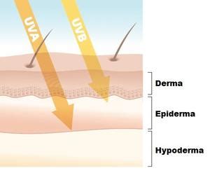 Ilustrácia účinkov UV žiarenia na pokožku, vrátane tvorby melanínu a zosilnenia vrstiev pokožky.
