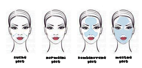 Ilustrácia znázorňujúca rôzne typy pleti (mastná, suchá, zmiešaná) a ich charakteristické prejavy.