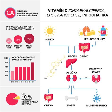 Ilustrácia znázorňujúca proces syntézy vitamínu D v pokožke pod vplyvom slnečného žiarenia