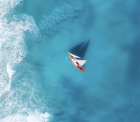 Schéma porovnávajúca účinky a vedľajšie účinky kortikoidov a imunomodulátorov