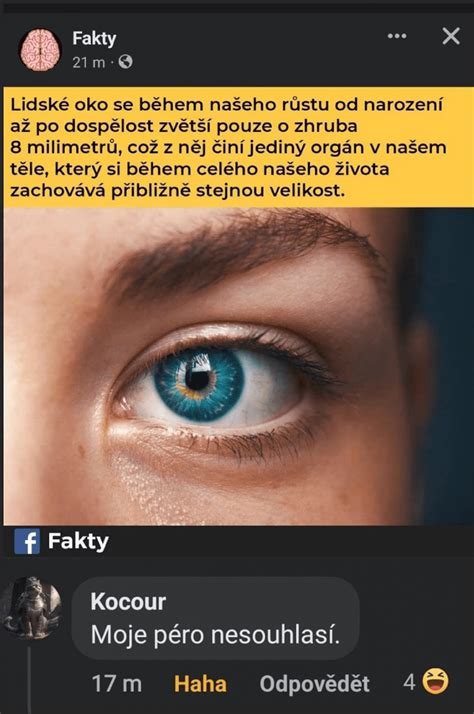 Koláž zo sociálnych sietí zobrazujúca ideály krásy a porovnanie s reálnou pokožkou.