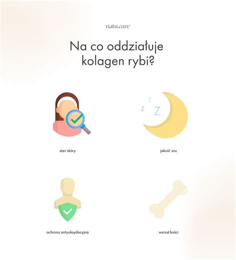 Infografika zobrazujúca účinky kolagénu na pokožku a kĺby