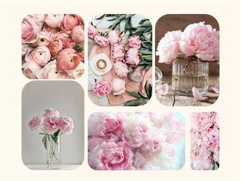 Koláž rôznych typov odličovačov očí (micelárna voda, olej, balzam, dvojfázový)