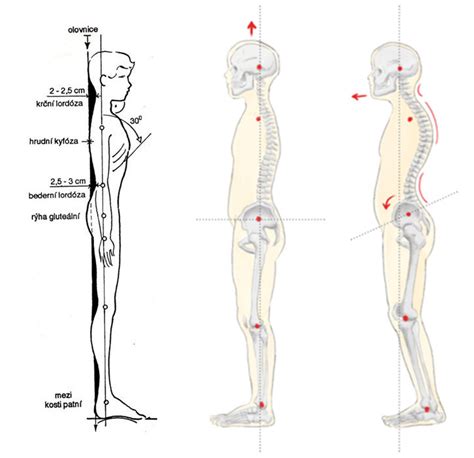 Ilustrácia zobrazujúca správne a nesprávne techniky holenia s dôrazom na smer rastu chĺpkov.