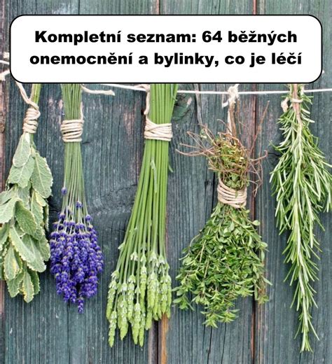 Ilustrácia bežných plesňových ochorení kože