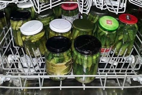 Ilustrácia rôznych druhov ovocia, medzi ktorými sú aj citrusy, s varovným symbolom alergie