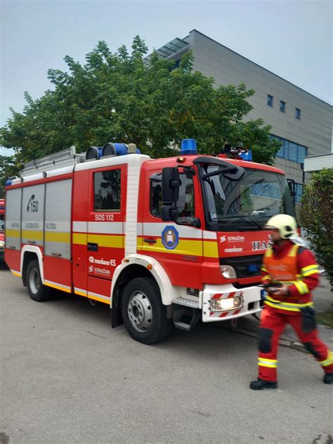 Ilustračné foto kvetov jazmínu