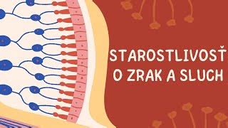 Ilustrácia znázorňujúca škodlivé vplyvy mestského prostredia na pleť