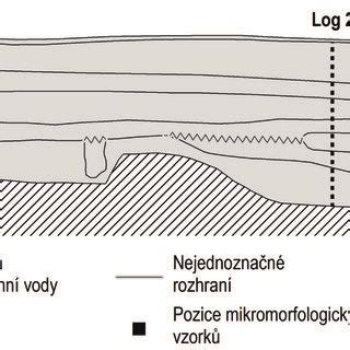 schematické znázornenie molekuly lecitínu s vyznačenými fosfolipidmi