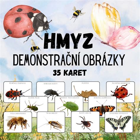 ilustrácia prenášača nodulárnej dermatitídy - hmyz
