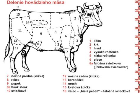 detail kožných lézií (nodulov) na tele hovädzieho dobytka