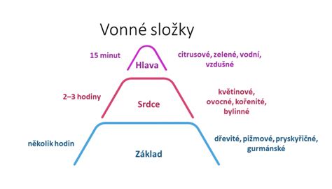 infografika znázorňujúca jednotlivé vrstvy vône (hlava, srdce, základ) s uvedenými zložkami
