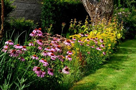 záhon s kvitnúcim nechtíkom