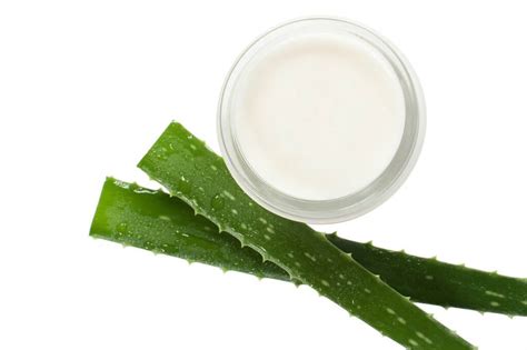 Ilustračná fotografia kľúčových zložiek krému: aloe vera, jojobový olej, bambucké maslo