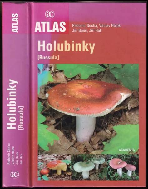 srovnání holubinky sivé a holubinky namodralé s vyznačenými rozdíly v lupenech