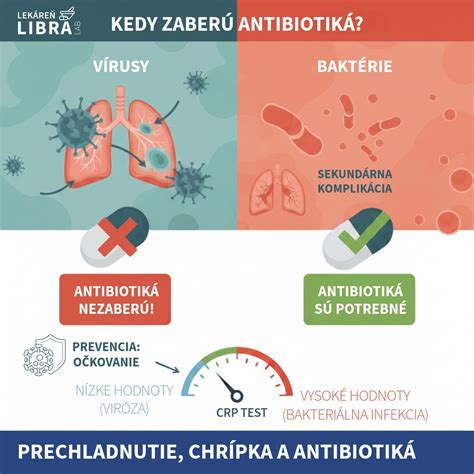Ilustračná schéma pôsobenia antibiotika na baktérie