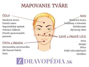 Infografika zobrazujúca mapovanie tváre a súvisiace orgány