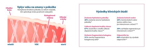 Ilustrácia štruktúry pleti s vyznačenými pórmi