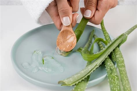 Ilustrácia listu aloe vera s kvapkou gélu