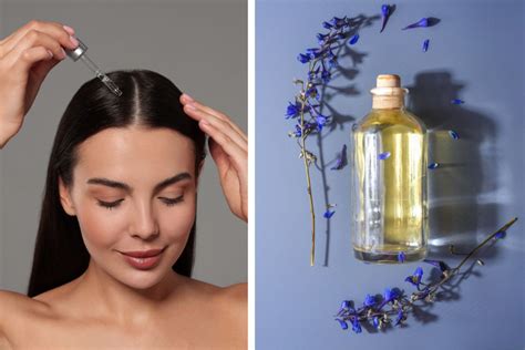 ilustrácia znázorňujúca aplikáciu oleja na vlasy a pokožku hlavy