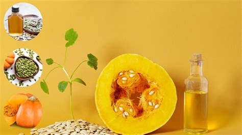 Ilustračné foto tekvicového oleja v malej fľaštičke a tekvicových semien.