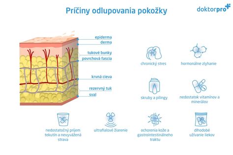 Ilustrácia hydrolipidovej bariéry pokožky