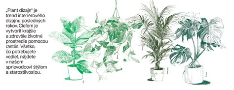 Ilustrácia rôznych účesov vytvorených pomocou zmatňujúceho vosku