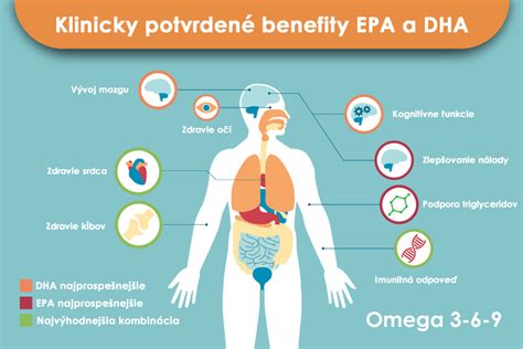 Schéma zobrazujúca mozog a jeho závislosť na tukoch, s dôrazom na omega-3 a omega-6 mastné kyseliny.