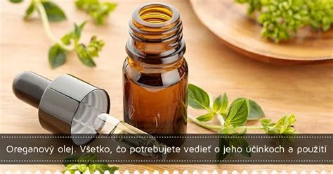 Infografika o zložení lopúchového oleja a jeho účinkoch na vlasy