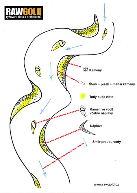 Ilustrácia štruktúry nechtu a miesta, kde sa usádza pleseň