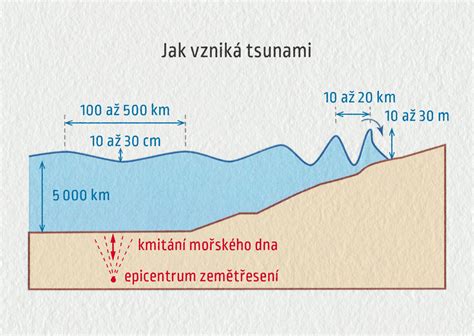 Schéma vzniku akné a pôsobenia čajovníkového oleja