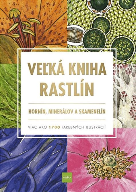 Ilustrácia zloženia prírodnej kozmetiky s ikonami rastlín a minerálov