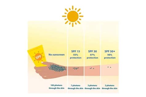 Infografika vysvetľujúca rozdiel medzi SPF 30 a SPF 50 a ako fungujú UV filtre.