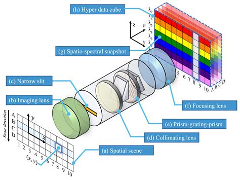 Schéma fungovania technológie Advanced Spectral Technology s Licochalconom A