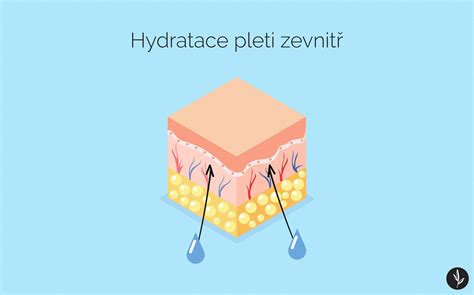 Infografika znázorňujúca mechanizmus hydratácie pleti pomocou kyseliny hyalurónovej a technológie Pro Vita D