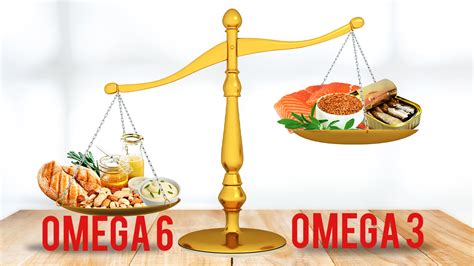 infografika znázorňujúca štruktúru omega-3 a omega-6 mastných kyselín a ich pôsobenie v organizme