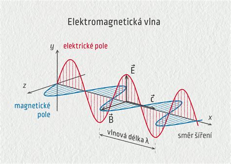 Schéma znázorňujúca vznik a vývoj komedónov (mikrokomedo, uzavreté komedo, otvorené komedo)