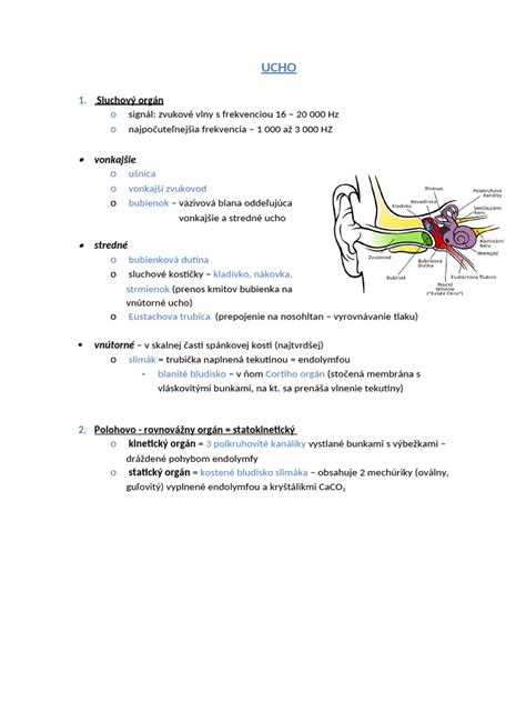 Ilustrácia fungovania dermarolleru s popisom tvorby mikroskopických kanálikov v pokožke