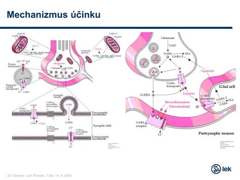 Infografika znázorňujúca mechanizmus účinku micelárnej vody