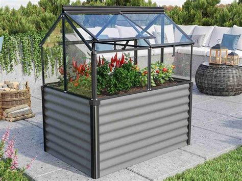 Záhon s tekvicovými rastlinami.