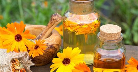 Koláž rôznych prírodných zložiek ako harmanček, nechtík, jojobový olej a med