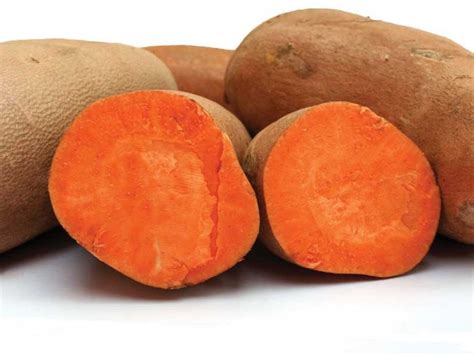 farebná fotografia rôznych druhov mrkvy a sladkých zemiakov